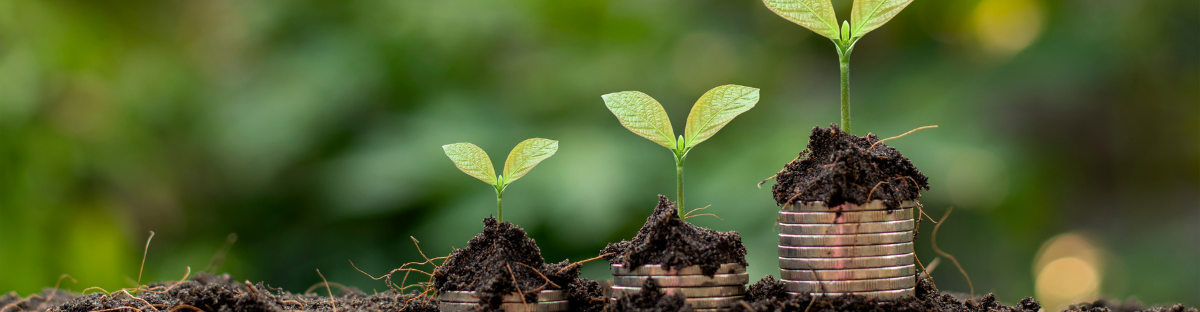 The True Definition of Passive Income